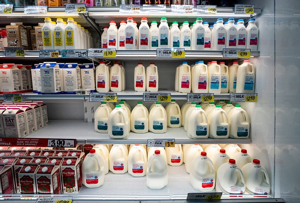 Mississippi Bans Fake Milk to Support Human Health and Farmers