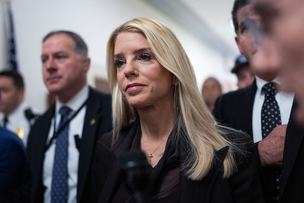 A Government in Need of Protection?