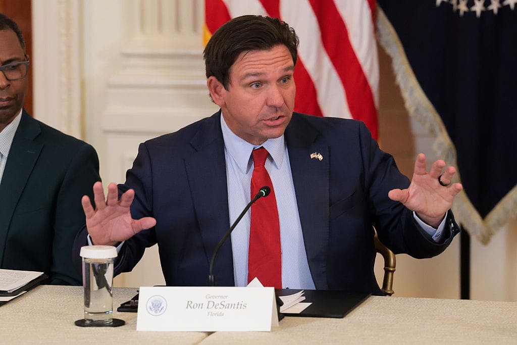 DeSantis Bets Big on a Late-Game Redistricting Play