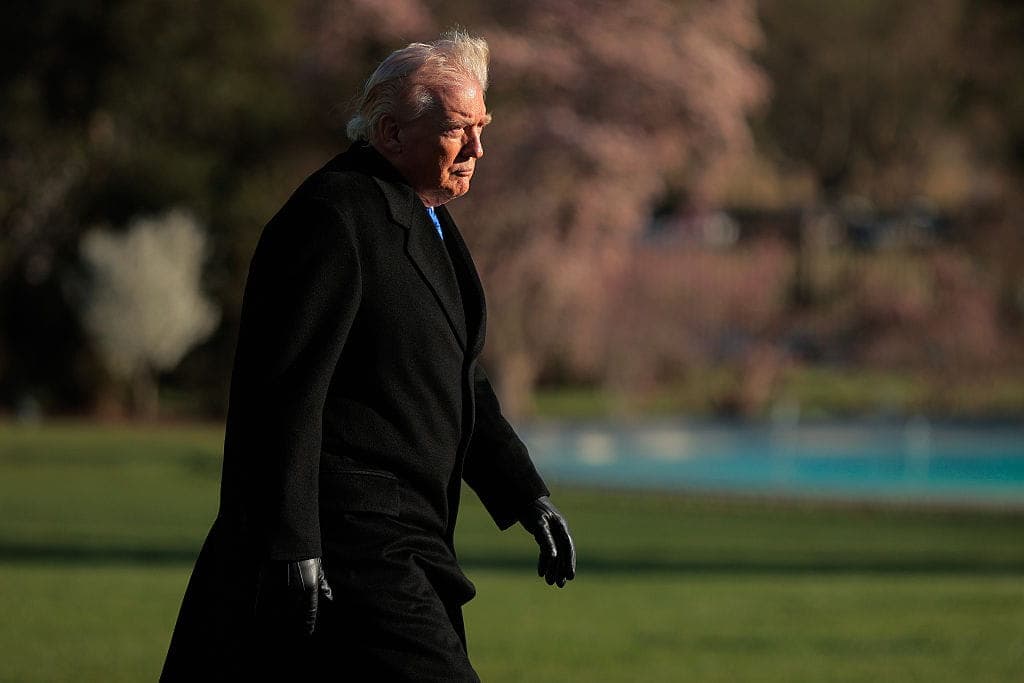 Experts Say Democracy Is Eroding – But Their Bias Is Showing