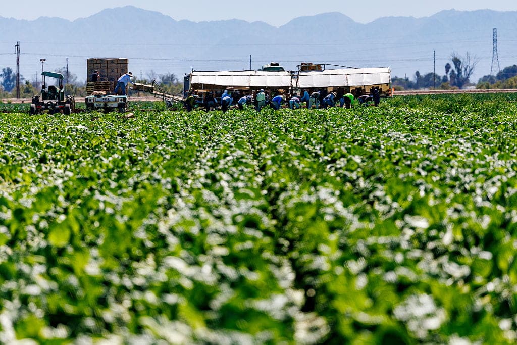 Illegal Immigrant Amnesty Buried in GOP-Backed Ag Bill