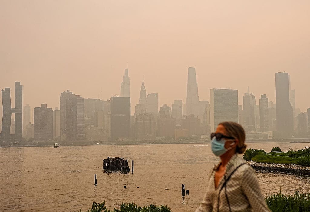High on Health: Your Environment May Increase the Risk of Alzheimer’s