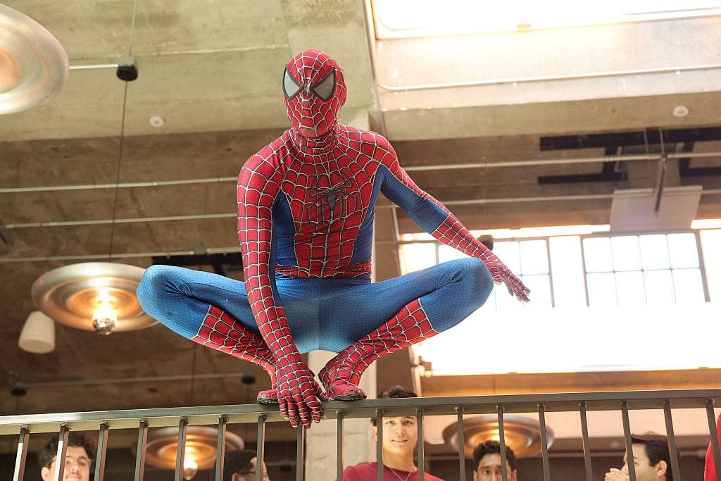 From the Back Forty: Spider-Man Saves the Day 