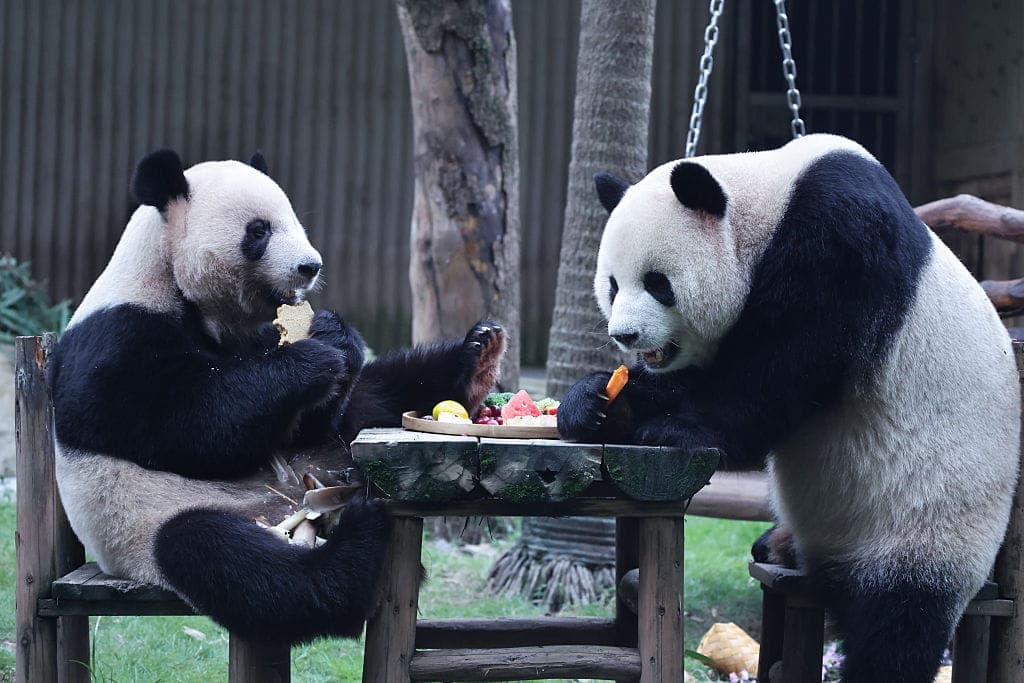GOP Big Spenders, Panda Diplomacy, and a Transgender Jesus?