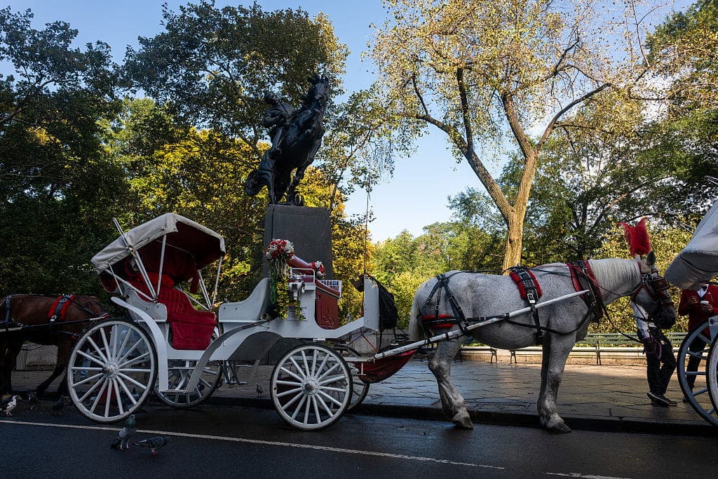 Mamdani Moves to Ban Beloved American Tradition in New York City