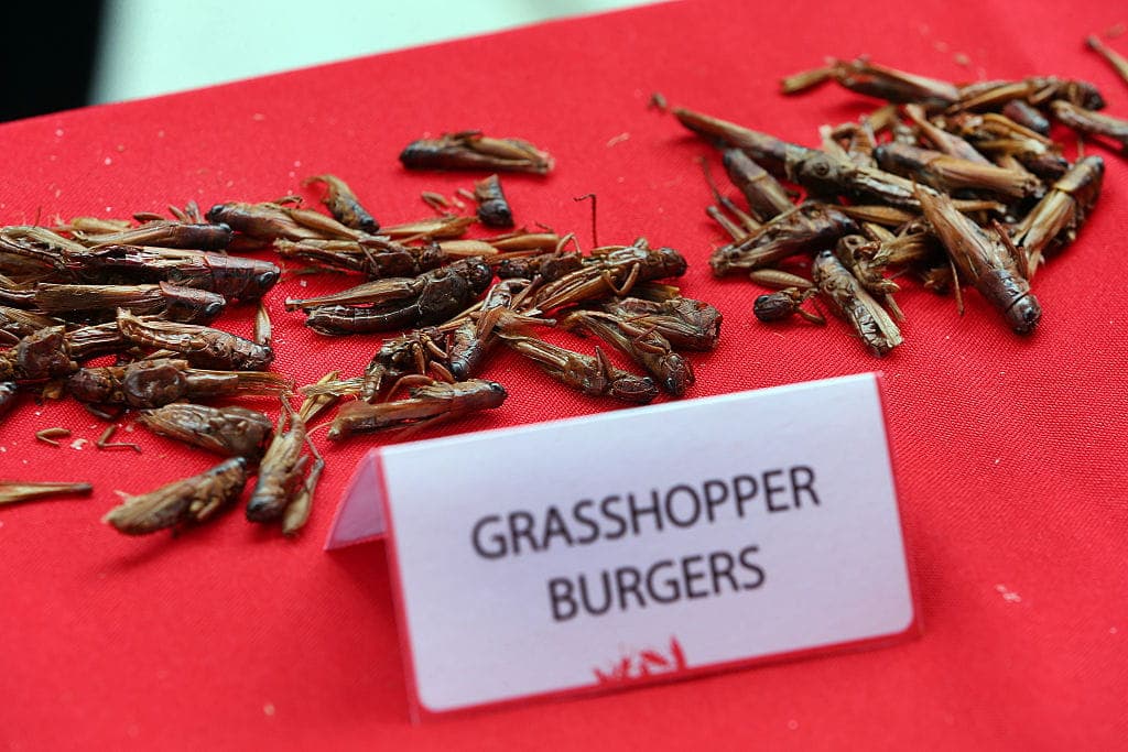 Fake Meat Withers on the Propaganda Vine