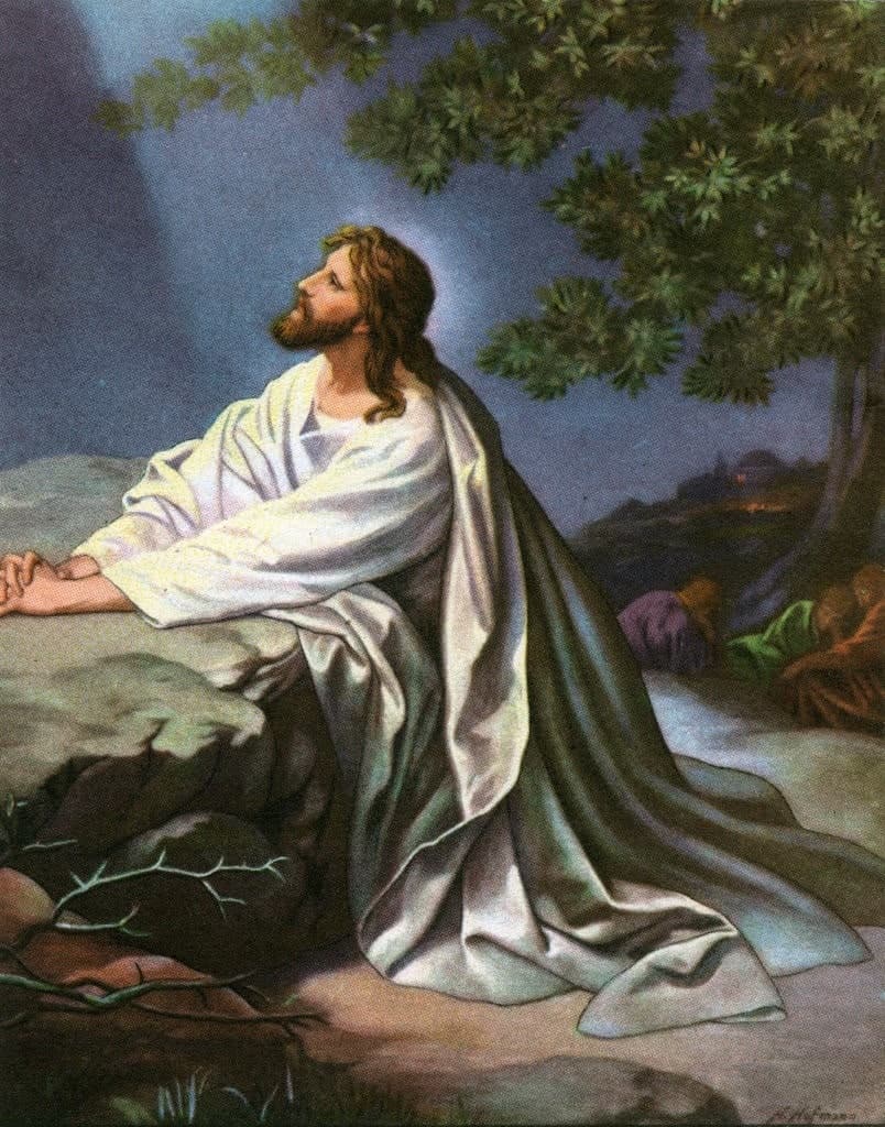 Holding Christ High at Christmas