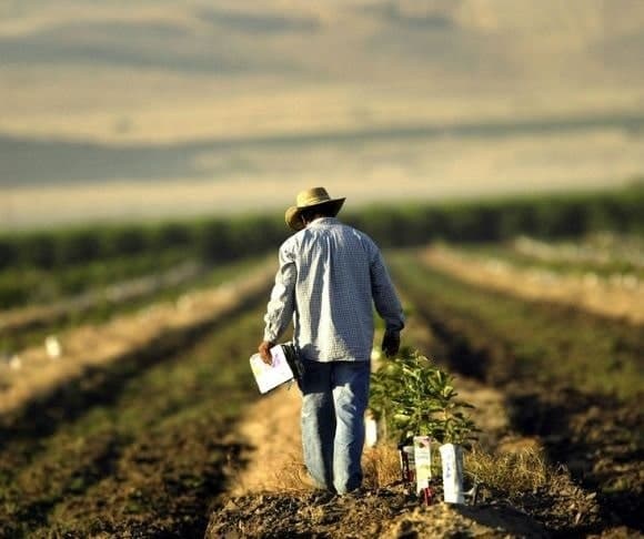 The Family Farmer Faces China and Other Hostiles