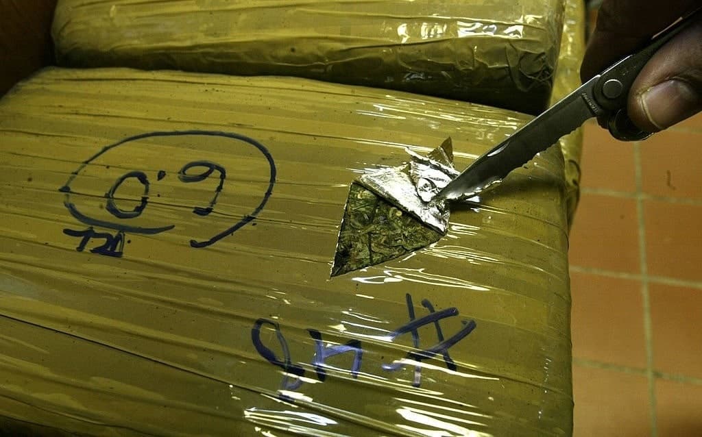 Green Thumbs Fund Chinese Criminal Networks Embedded in the US