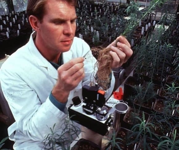 Frankenfoods Part of the Anti-Meat Agenda – Will Consumers Bite?