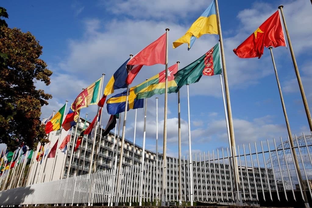 United Nations Managing Post-Hamas Gaza – Now That’s a Hoot