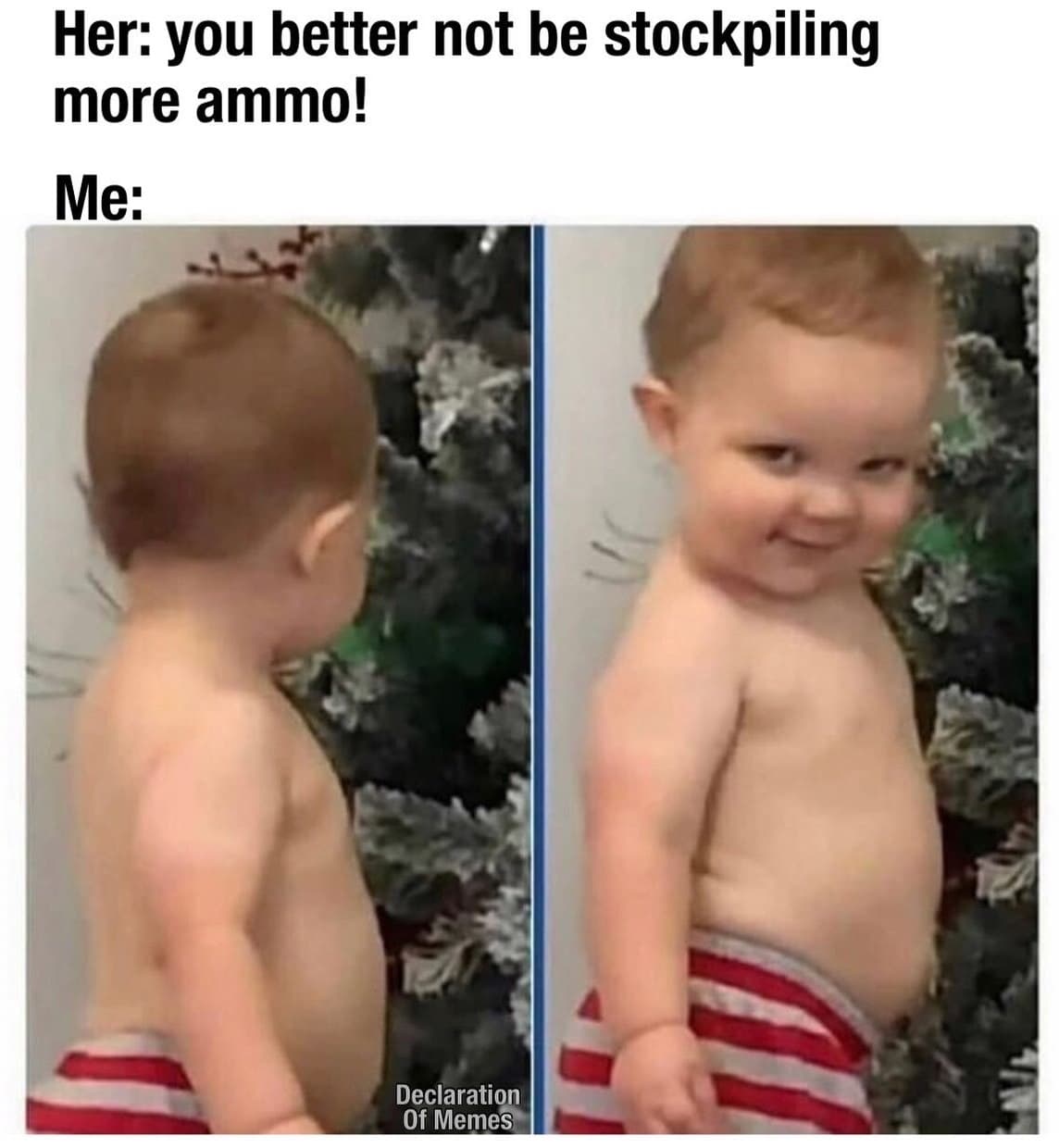Daily Political Memes