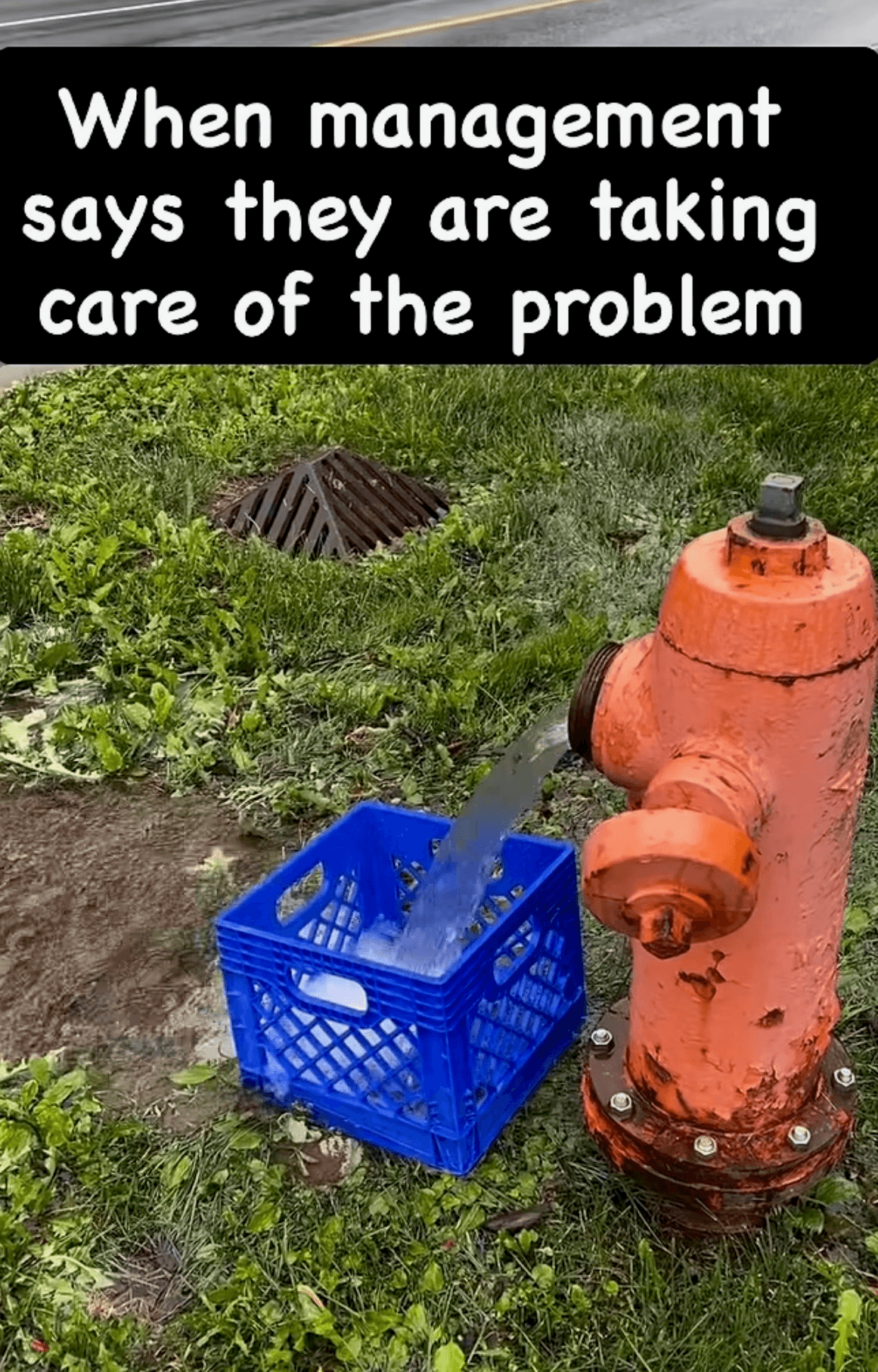 Daily Political Memes