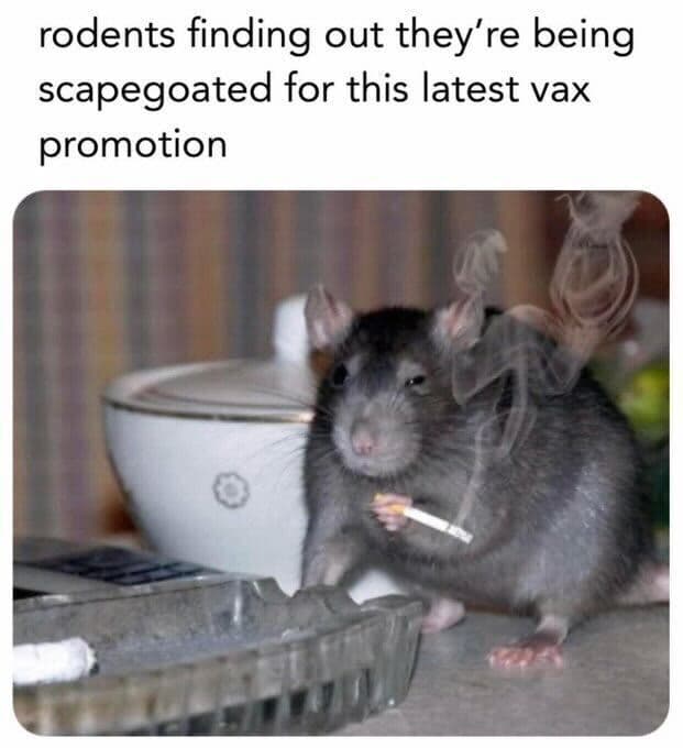 Daily Political Memes