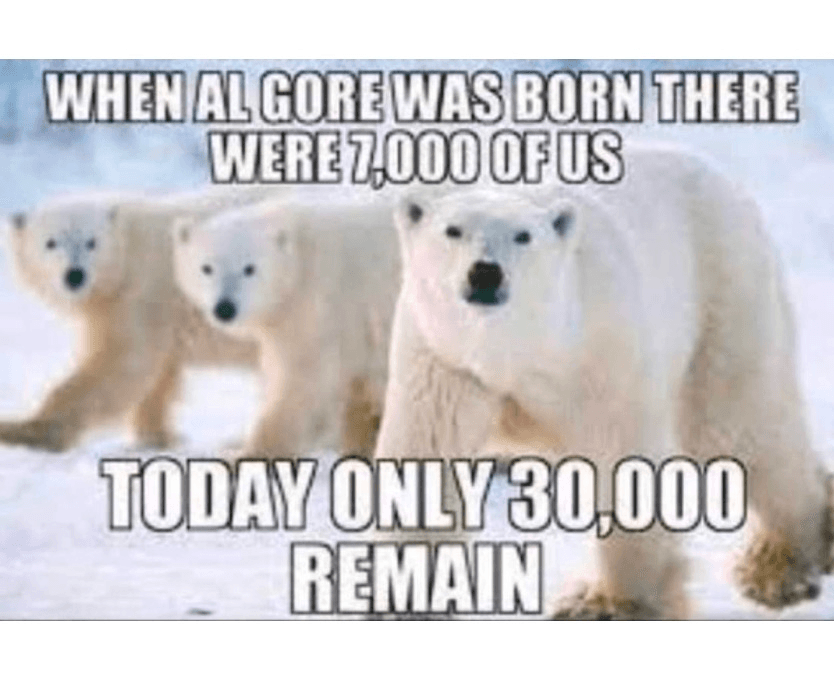 Daily Political Memes