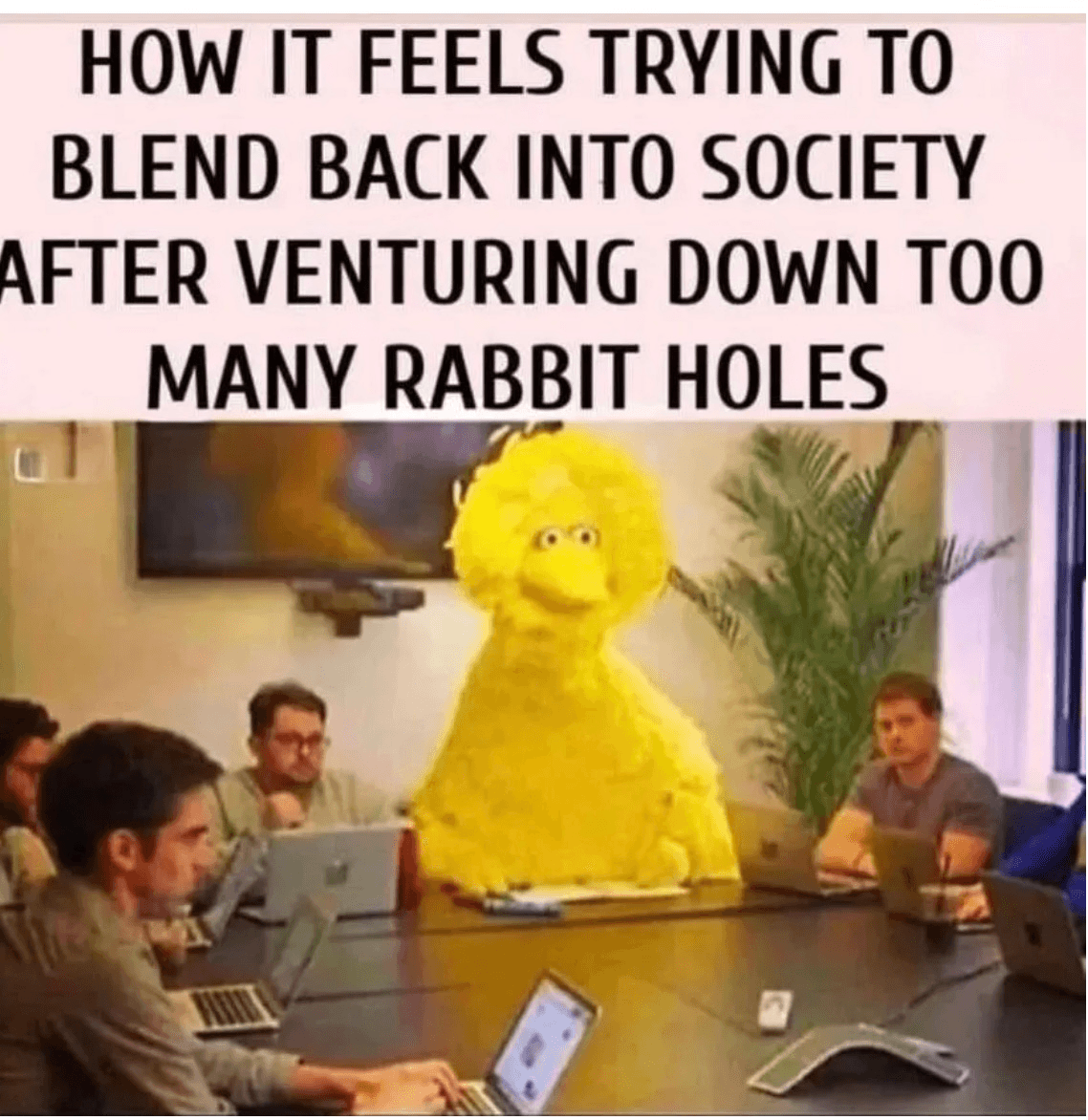 Daily Political Memes