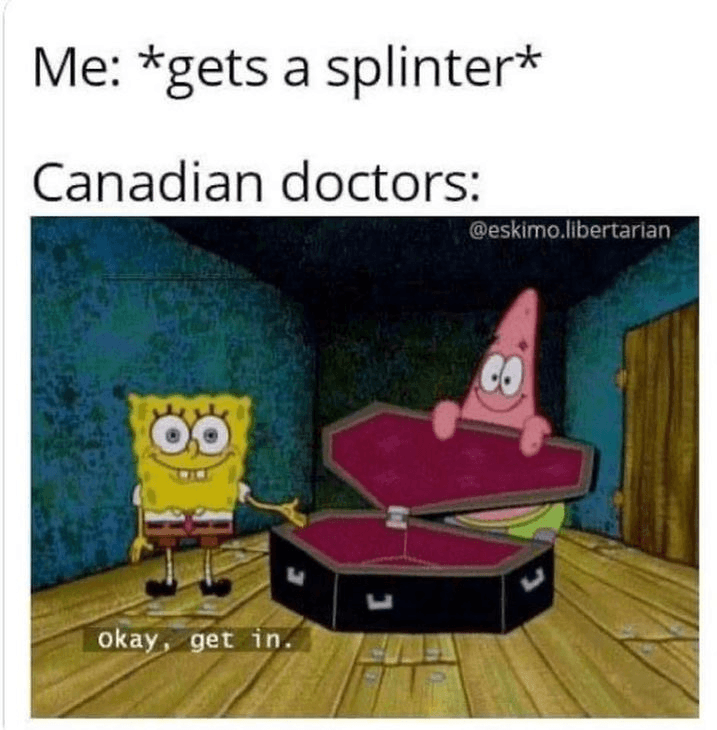 Daily Political Memes