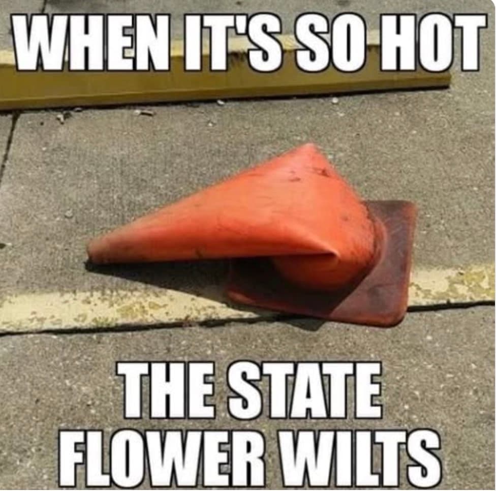 Daily Political Memes