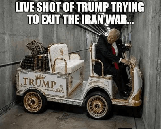 Daily Political Memes