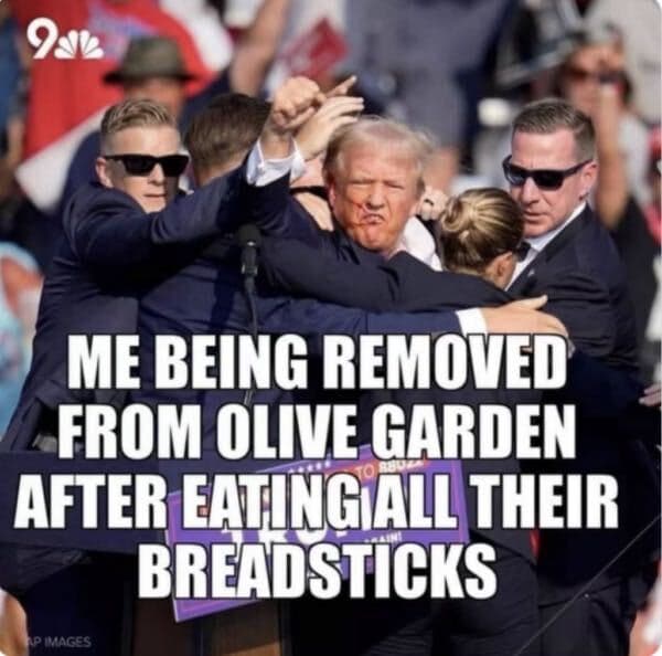 Daily Political Memes