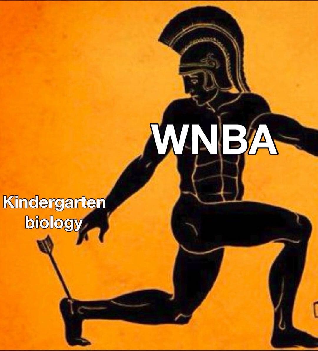Daily Political Memes