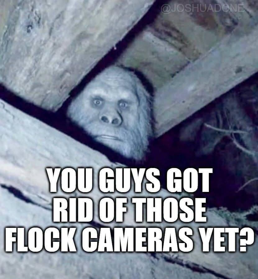 Daily Political Memes