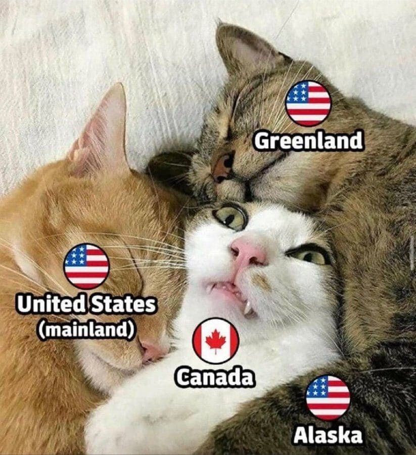 Daily Political Memes