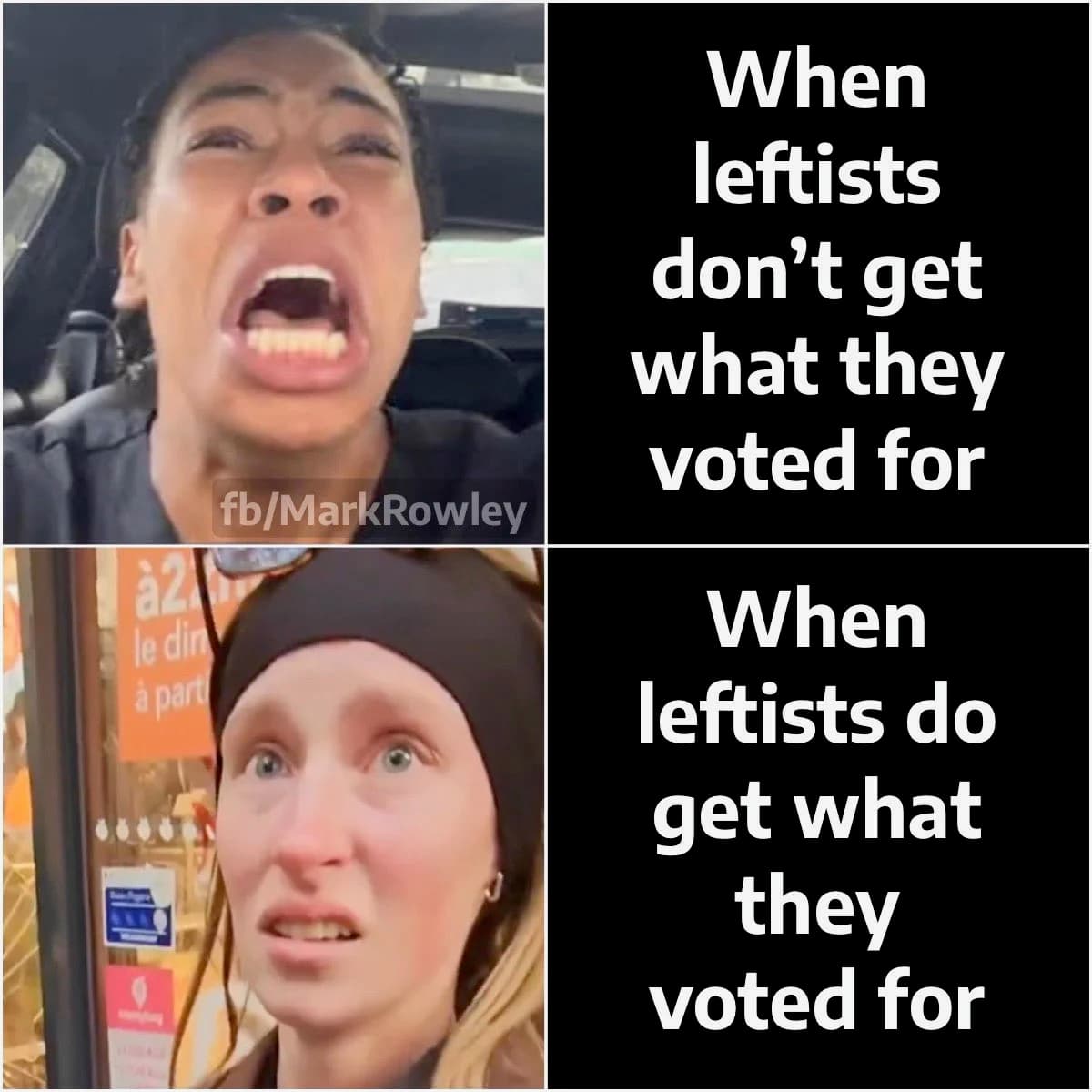 Daily Political Memes