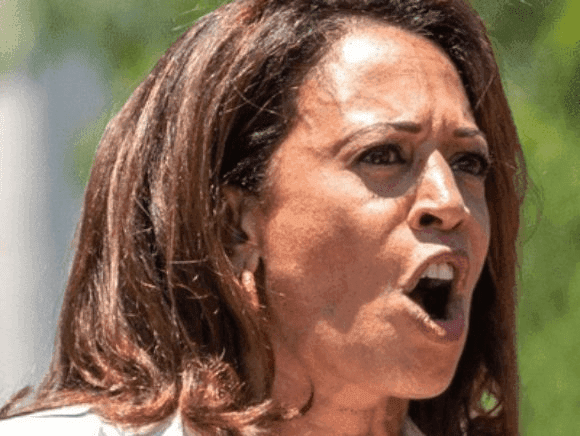 Was Kamala Harris’ Mean Girl Lunch a 2024 Campaign Exploration?