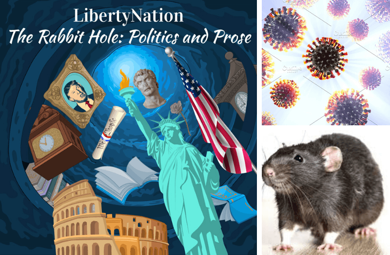 The Rabbit Hole: Coronavirus Outbreak and Lessons From the Plague