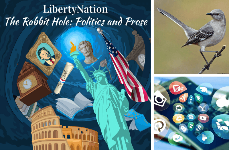 The Rabbit Hole Podcast: Exposing the Mockingbird Media