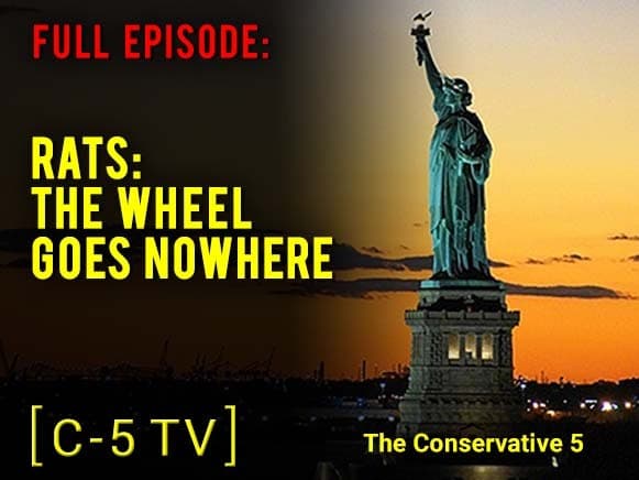 Rats: The Wheel Goes Nowhere – Full Episode – C5 TV