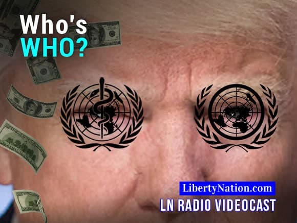 Who’s Paying for the WHO?