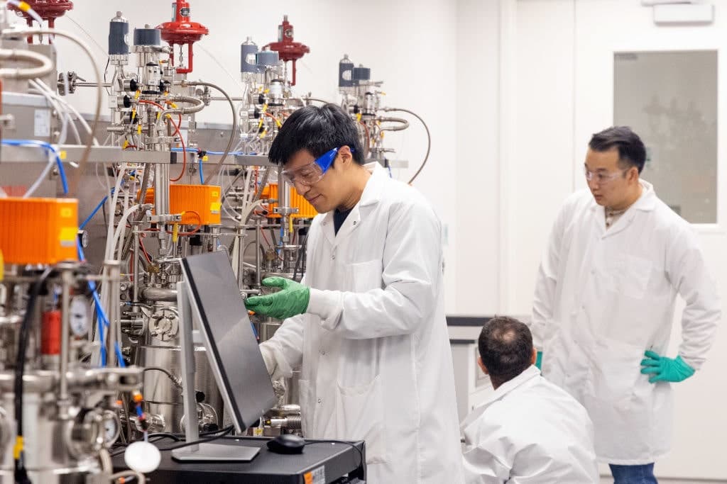 The Battle Over Lab-Grown Meat Heats Up