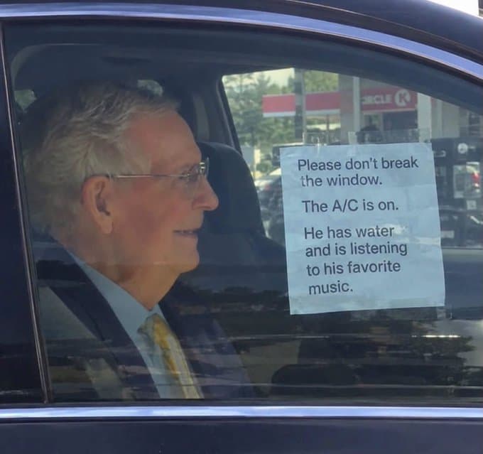 Daily Political Memes