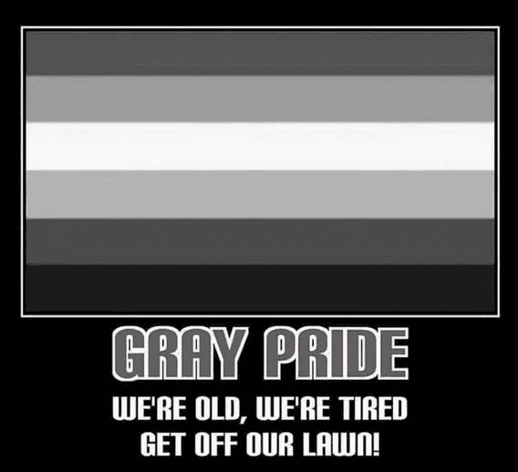 Daily Political Memes