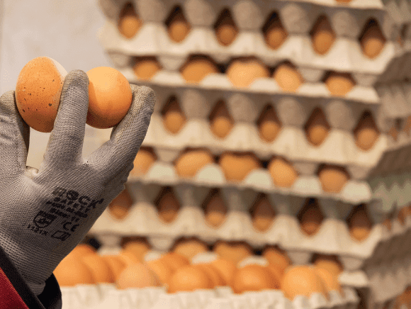 From Inflation to the Tripledemic, What a Week – Swamponomics