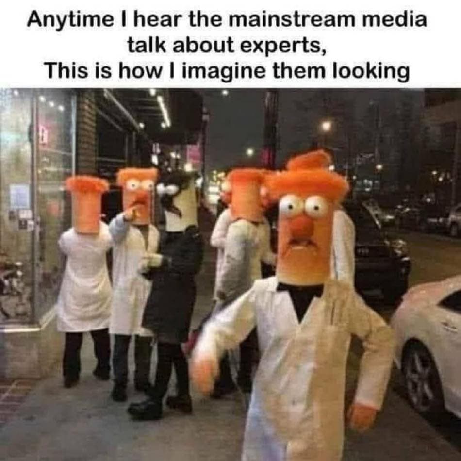 Daily Political Memes