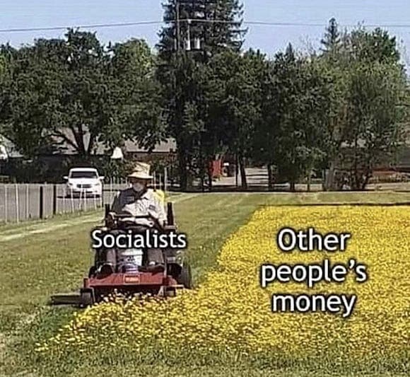 Daily Political Memes