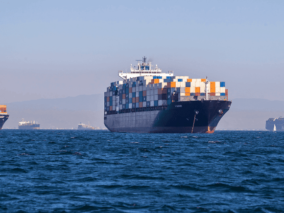 Swamponomics: The Supply Chain Crisis Edition