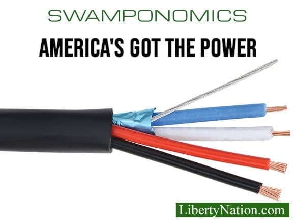 US Electricity Costs Becomes Top Issue for Administration – Swamponomics
