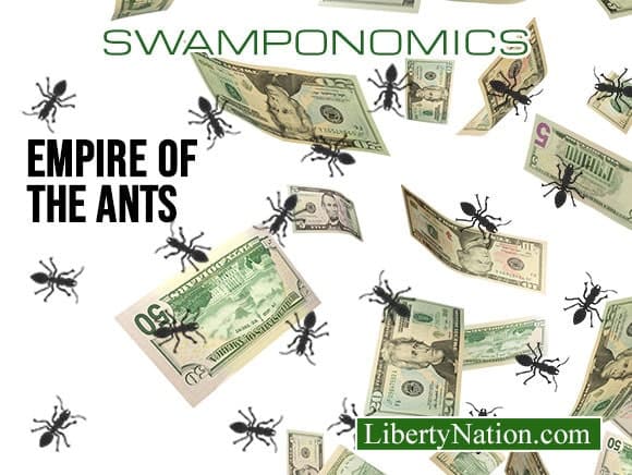 DOGE Cuts – Are They Worth It? – Swamponomics