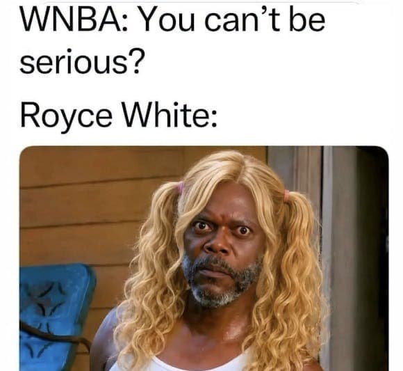 Daily Political Memes