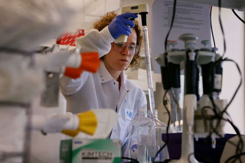 High on Health: New Study Links Certain Infections to Cancer