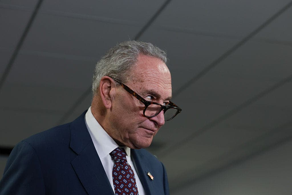 Top Democrats Are Trapped in a Catch 22