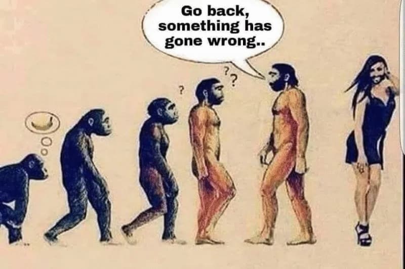 Daily Political Memes