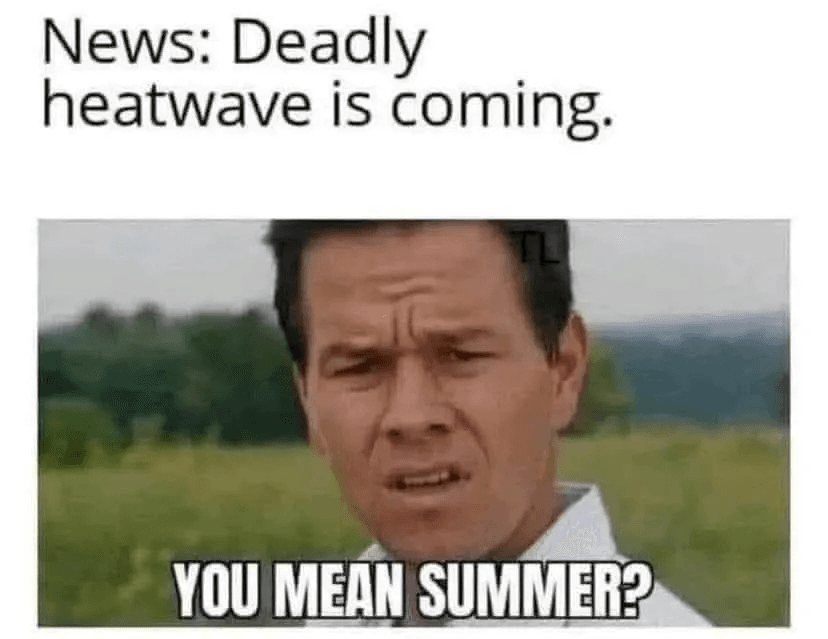 Daily Political Memes