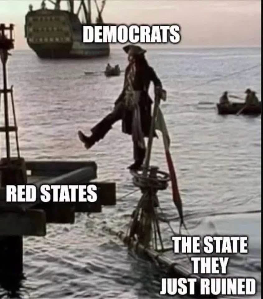 Daily Political Memes