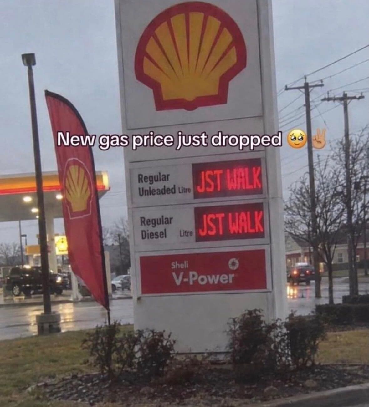 Daily Political Memes