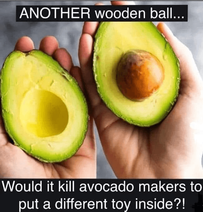 Daily Political Memes
